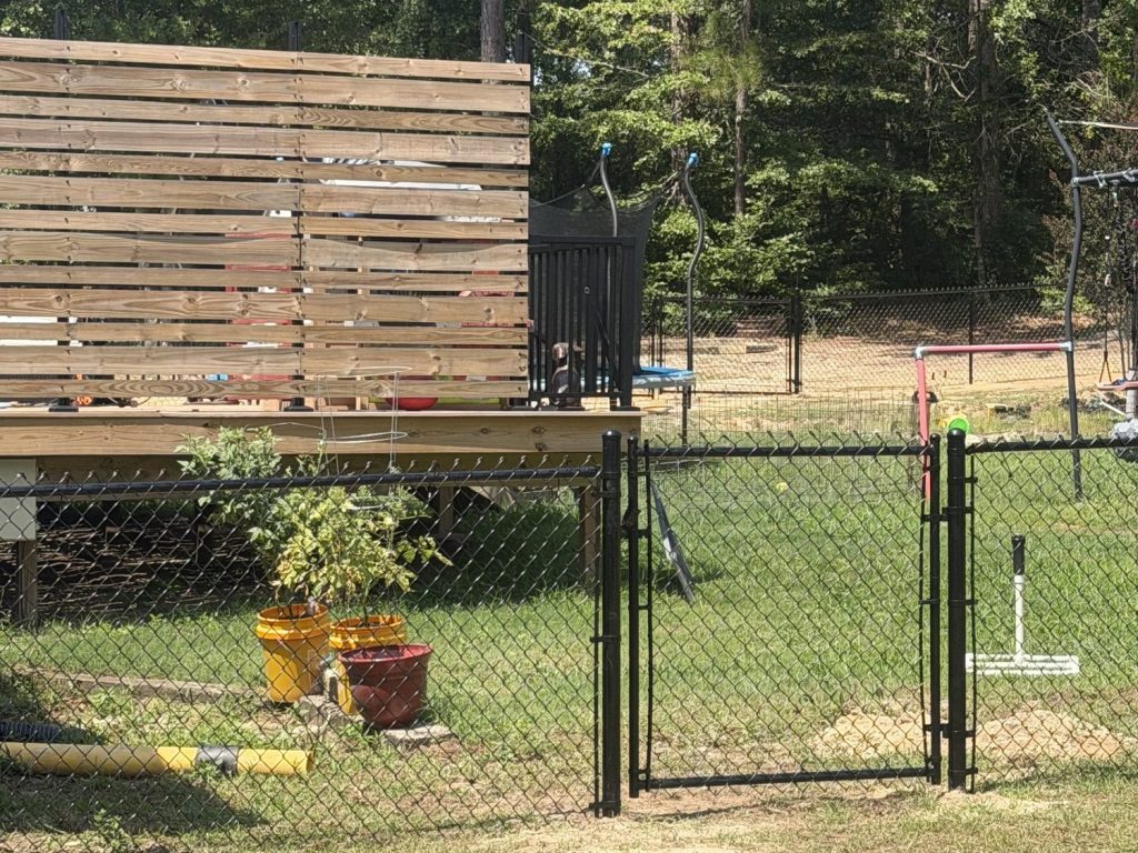 Black chain link fence with gate enclosing a residential yard