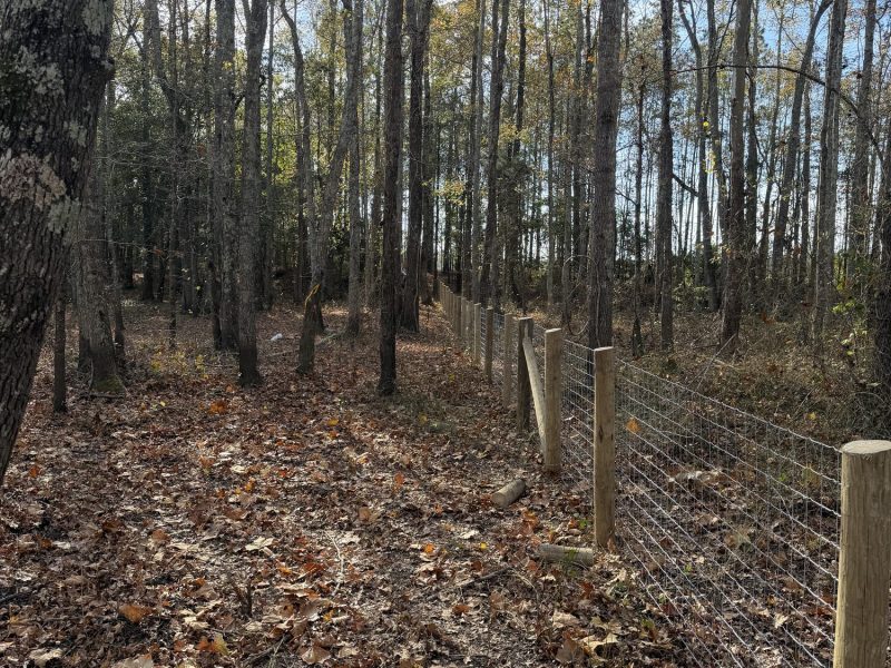 Chain link fence with wood privacy panels securing a wooded property boundary in rural CSRA landscape.