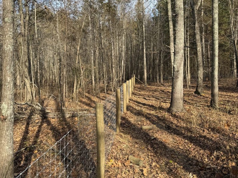 Farm fencing combining wood posts and wire mesh running through forested property in rural CSRA area.