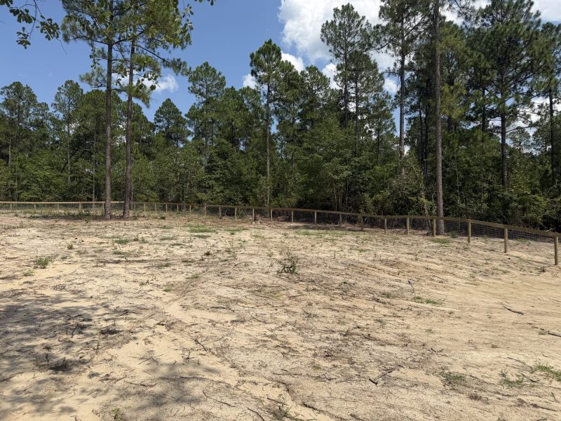 Large equestrian arena with wood privacy fencing and forest backdrop in rural Aiken County area.