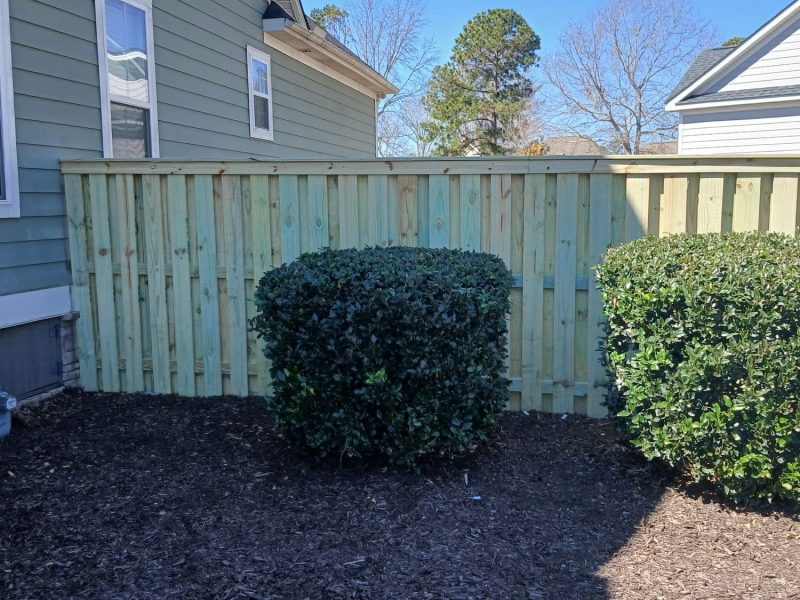 Residential wood privacy fence in light blue-green stain separating properties, with landscaped mulch beds and evergreen shrubs in a backyard setting.