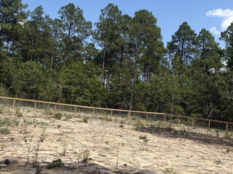 Rural wooden fence installation across cleared hillside property with pine forest backdrop.