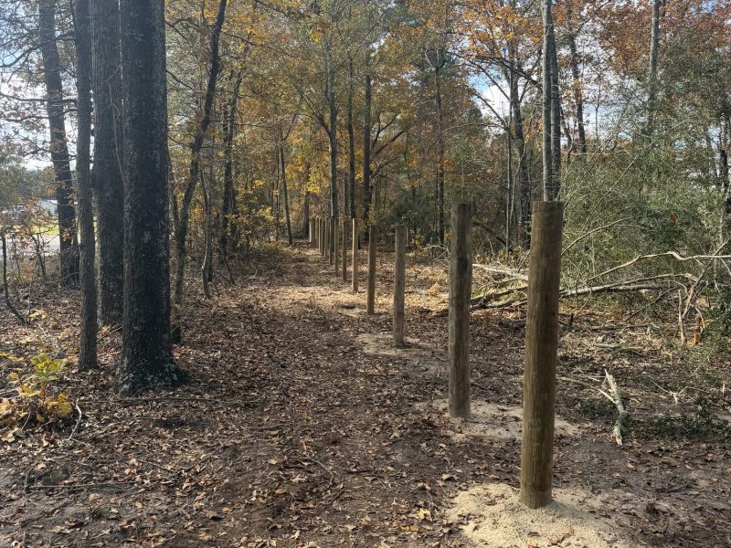 Wooden fence posts installed along a woodland property line in autumn, marking a rural fencing project in the CSRA.