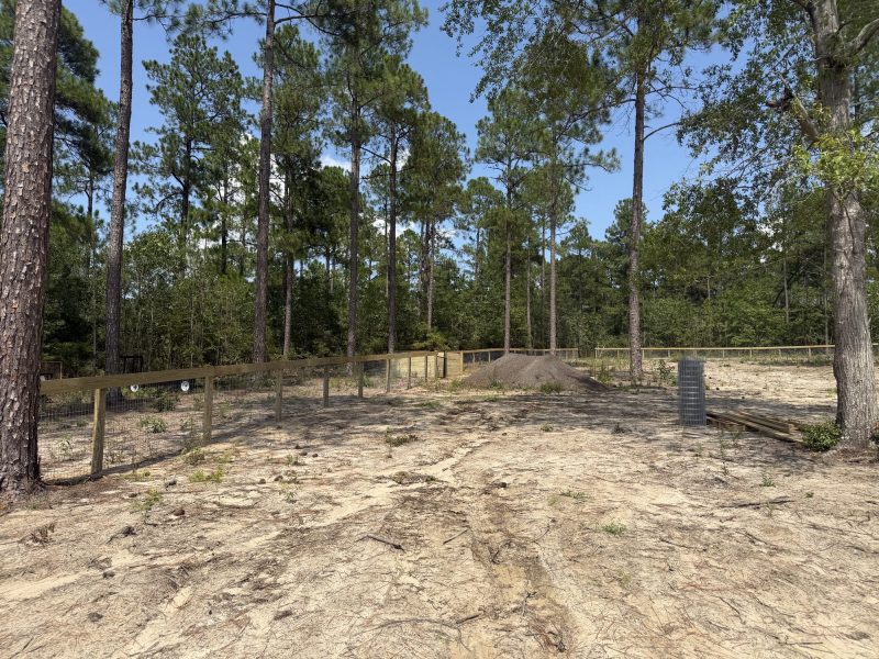 Wooden rail fencing with mesh panels enclosing sandy paddocks on a rural equestrian property in the CSRA.